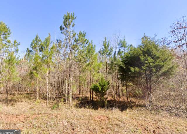 Property at 0 W Luke Rd, Temple, GA 30179