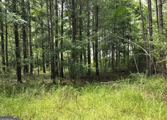 Property at 0 Hwy 199, Rockledge, GA 30454