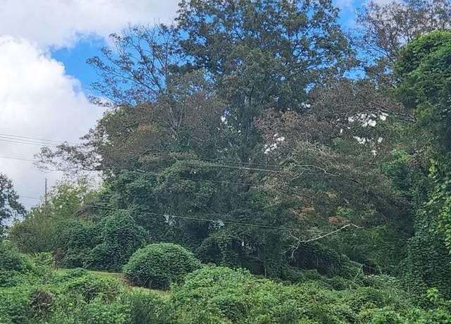 Property at 833 Blue Ridge Dr/hwy 5, Mccaysville, GA 30555