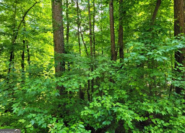 Property at 8033 Longleaf Dr, Villa Rica, GA 30180