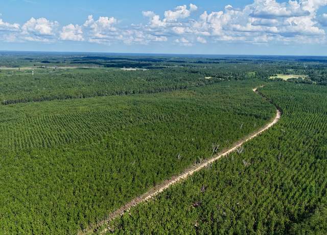 Property at 0 Penny Morris Rd, Baxley, GA 31513