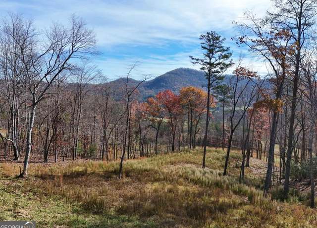 Property at 902 Deitz Cable Rd, Warne, NC 28909