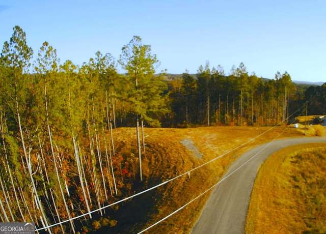 Property at LOT 133 River Reach Ln, Talking Rock, GA 30175