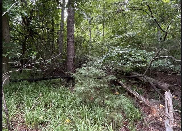 Property at LOT 51 Alpine Way, Lavonia, GA 30553