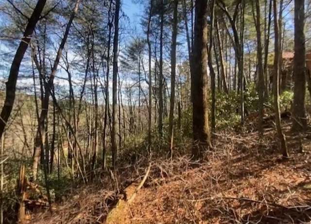 Property at 0 Mcconnell Ct, Helen, GA 30545