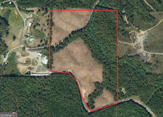 Property at 44.2 AC County Road 804 & 803, Wedowee, AL 36278