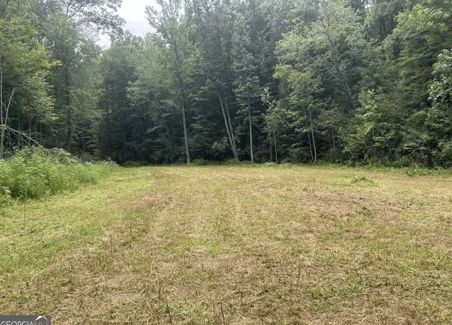 Property at 000 Boardtown Rd, Ellijay, GA 30540