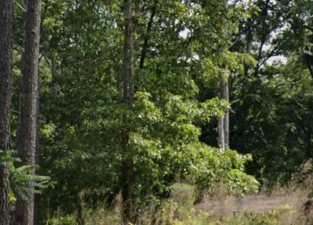 Property at 0 Jack Pittman Rd Unit 2A, Dacula, GA 30019
