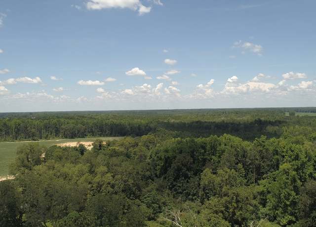 Property at 223 Cllyde Williams Rd, Reidsville, GA 30453