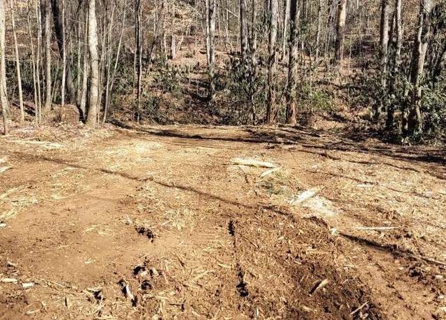 Property at 0 Bryant Creek Rd, Ellijay, GA 30540