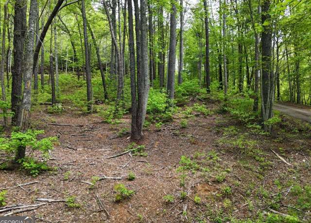 Property at TRACT 3C Riverside Dr, Hiawassee, GA 30546