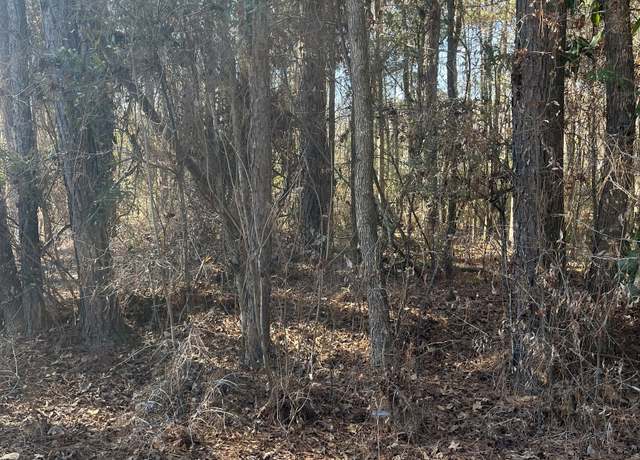 Property at 0 Drayton Loop, Vienna, GA 31092