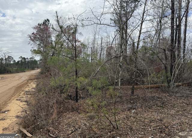 Property at 0 Halls Bridge Rd, Swainsboro, GA 30401