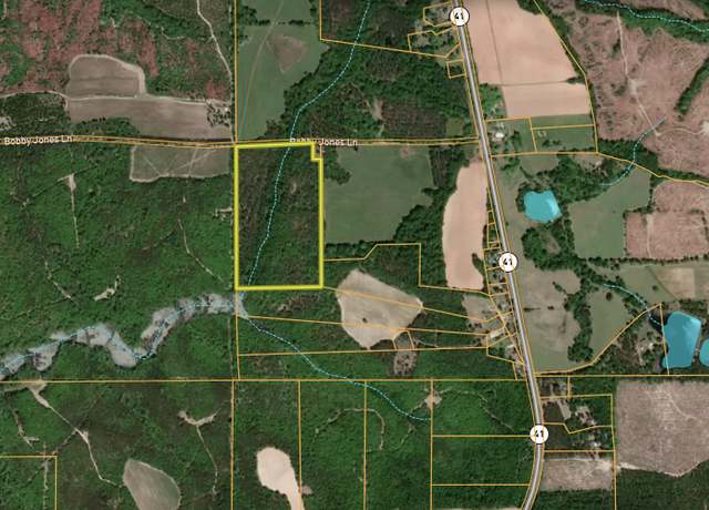 Property at 155 Bobby Jones Ln, Buena Vista, GA 31803