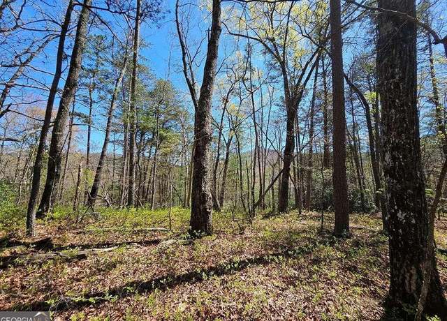 Property at 5.22 Deer Crest Rd, Blue Ridge, GA 30513