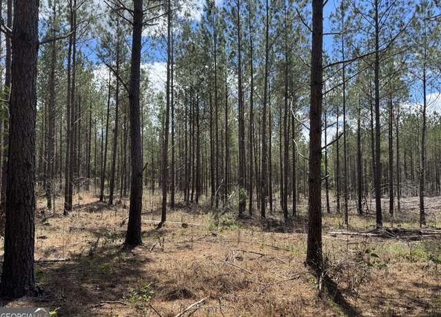 Property at LOT 2 Lipham Rd, Franklin, GA 30217
