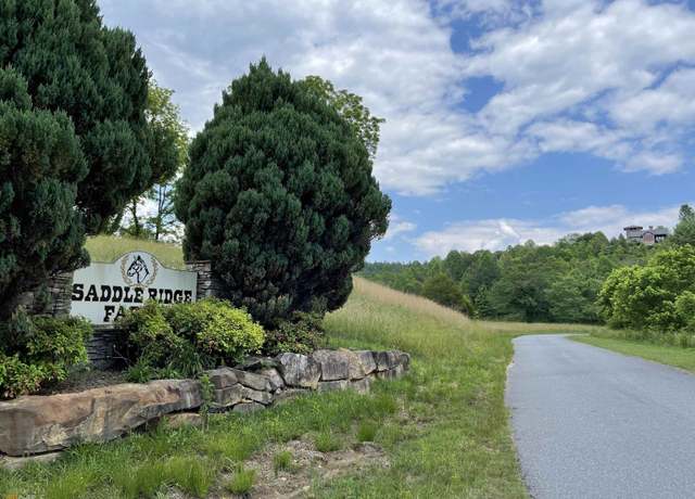 Property at 14-B Saddle Ridge Farms, Warne, NC 28909
