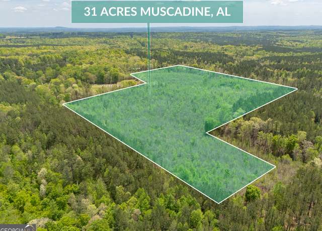 Property at 0 County Road 49, Muscadine, AL 36269
