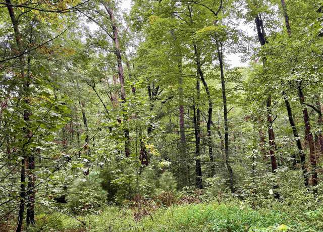 Property at LOT 4B Briarwood Ln Unit 4B, Clayton, GA 30525