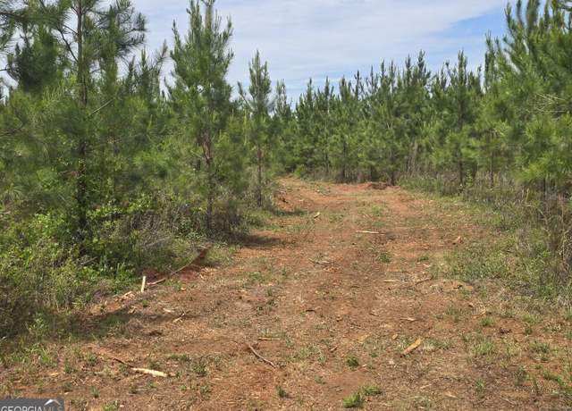 Property at 07 Marvin Murphy Rd, Ellaville, GA 31806