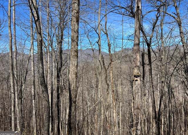 Property at LOT 15 Bear Trail, Roaring Ridge Trl, Hiawassee, GA 30546