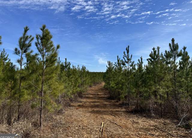 Property at 018 Dozier Rd, Ellaville, GA 31806