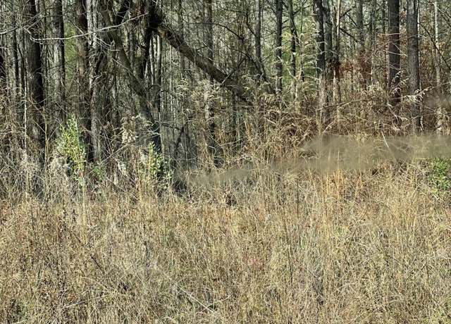 Property at 0 Armstrong Dr, Mansfield, GA 30055