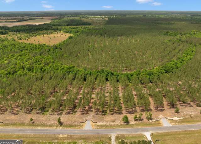 Property at 0 Dewey Thomas Rd Lot 3, Dexter, GA 31019