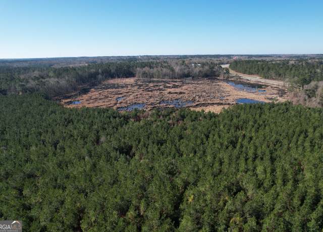 Property at 0 Burtons Ferry Hwy, Sylvania, GA 30467