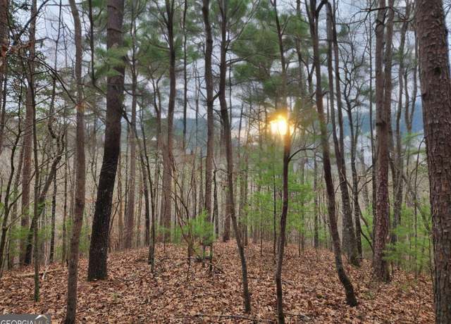 Property at LOT 1665 Hunter Dr, Talking Rock, GA 30175