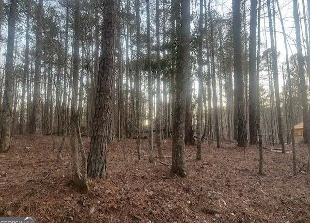 Property at 0 Pine Tree Dr, Fayetteville, GA 30214