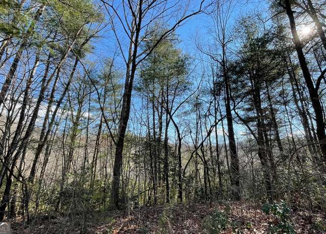 Property at LOT 42 Granite Drive / Fires Creek Cv, Hayesville, NC 28904