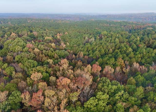 Property at 0 Dennis Creek Rd, Talbotton, GA 31827
