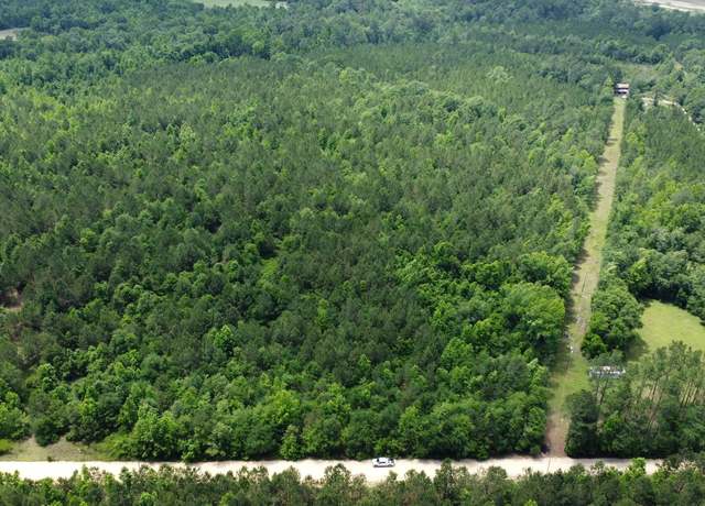 Property at 0 Anderson Parrish Rd, Portal, GA 30450