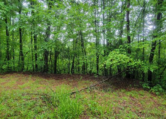 Property at 0 Bonanza Ln, Tiger, GA 30576