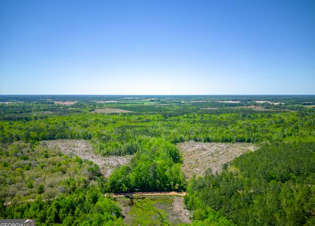 Property at 0 Ward Boyette Rd, Bristol, GA 31518