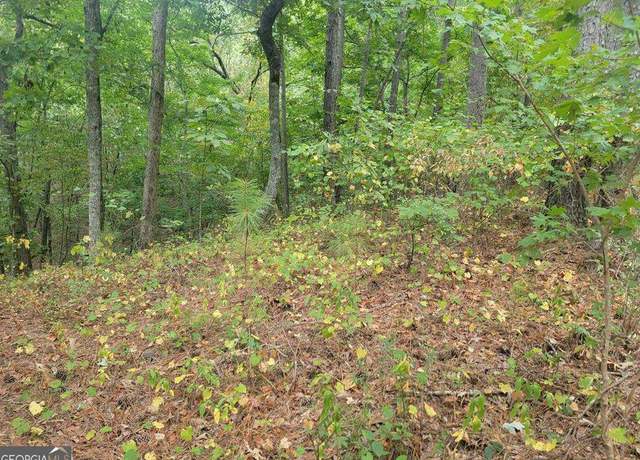 Property at 929 Aurora Ln, Ranger, GA 30734