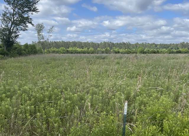 Property at 0 Carl Cravey Rd Lot 2, Hazlehurst, GA 31539