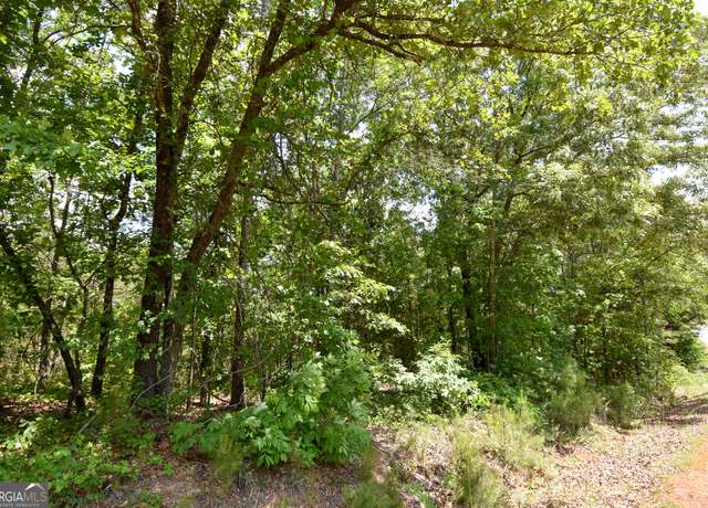 Property at 0 Skelton Rd Lot 13, Thomaston, GA 30286