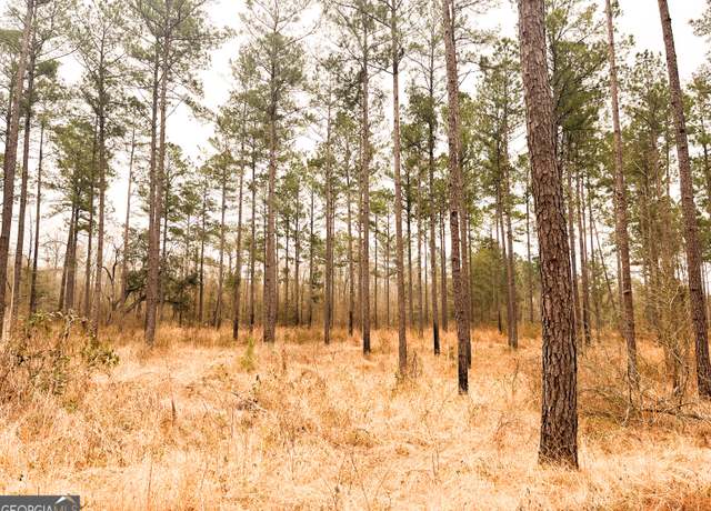 Property at 0 Newton Rd, Bainbridge, GA 39817