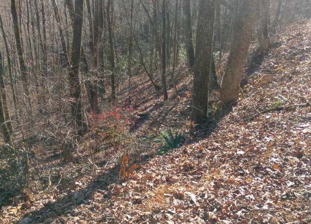 Property at 0 LOT 11A E Sugarbush, Sky Valley, GA 30537