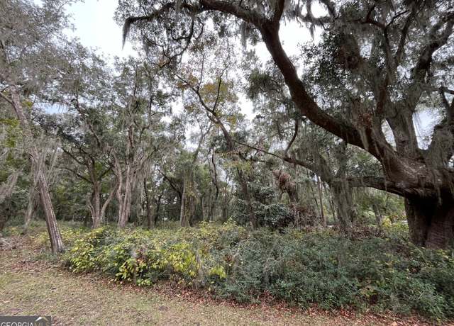 Property at 0 Carnochan, Darien, GA 31305