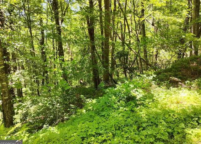 Property at 0 Labelle Cir Lot 92, Sky Valley, GA 30537