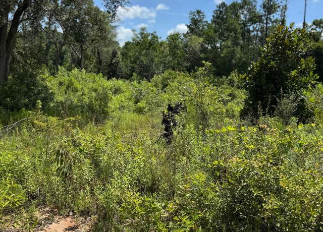 Property at 5125 Kinderlou Clyattville Rd, Valdosta, GA 31601