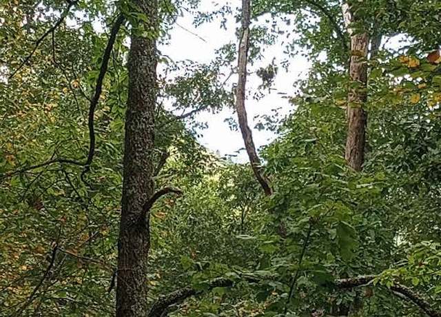 Property at 0 Ridgepole Lot 40, Sky Valley, GA 30537