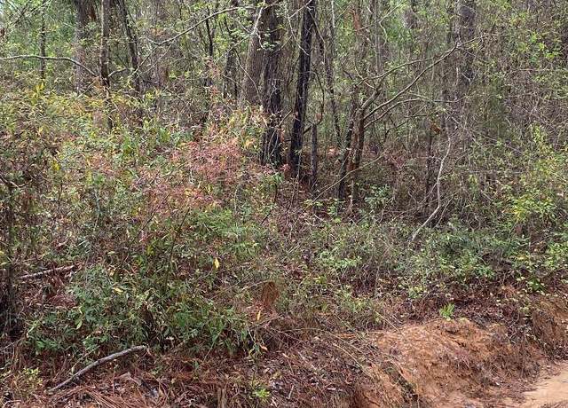 Property at LOT 2 Kemp Rd, Swainsboro, GA 30401