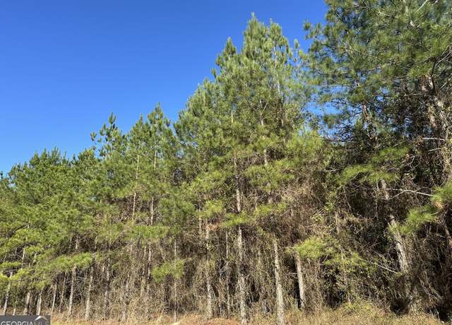 Property at 0028 Mt Zion Rd, Gordon, AL 36343