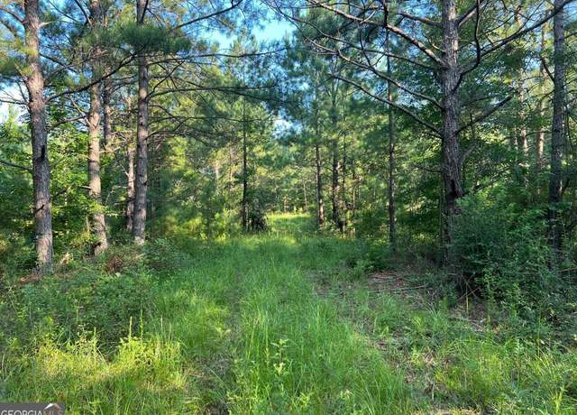 Property at 0 53 Hwy Unit 73 +/-, Clayton, AL 36016