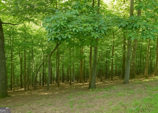 Property at 1016 Gateway Dr, Ellijay, GA 30540