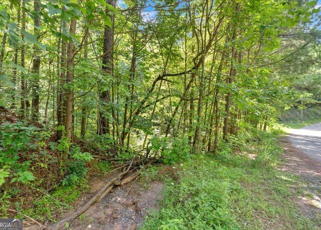 Property at 0 Whitestone Dr, Talking Rock, GA 30175